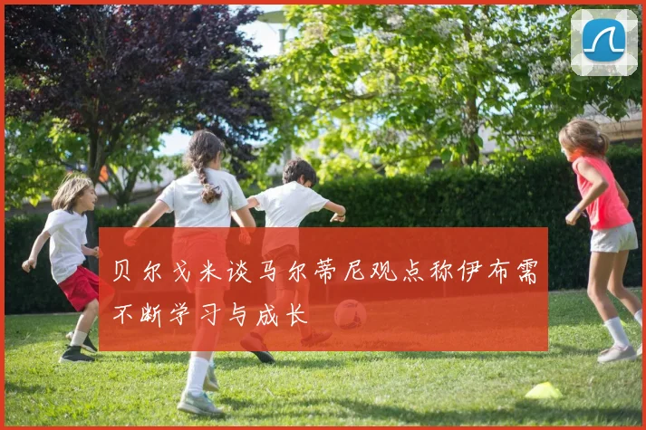贝尔戈米谈马尔蒂尼观点称伊布需不断学习与成长