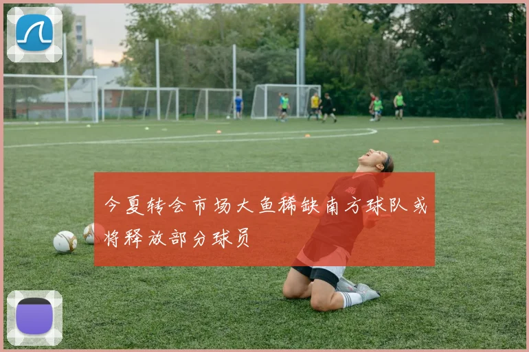 今夏转会市场大鱼稀缺南方球队或将释放部分球员